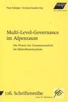Peter Bußjäger, Christian Gsodam, Christian Gsudam - Multi-Level-Governance im Alpenraum
