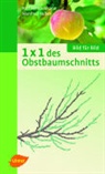 Dipl.-Ing. Rolf Heinzelmann, Rolf Heinzelmann, Dipl.-Ing. ( Nuber, Manfred Nuber - 1x1 des Obstbaumschnitts