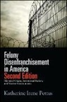 Katherine Irene Pettus, PETTUS KATHERINE IRENE - Felony Disenfranchisement in America,