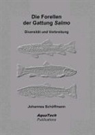 Johannes Schöffmann - Die Forellen der Gattung Salmo