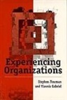 Stephen Fineman, Stephen Gabriel Fineman, Yiannis Gabriel - Experiencing Organizations
