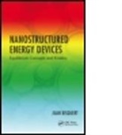 Juan Bisquert, Juan (Universitat Jaume I Bisquert - Nanostructured Energy Devices