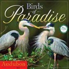 National Audubon Society - Audubon Birds of Paradise 2014 Calendar