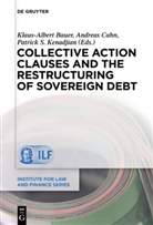 Klaus-Alber Bauer, Klaus-Albert Bauer, Andreas Cahn, Patrick S. Kenadjian - Collective Action Clauses and the Restructuring of Sovereign Debt