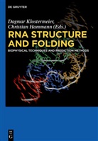 Hammann, Hammann, Christian Hammann, Dagma Klostermeier, Dagmar Klostermeier - RNA Structure and Folding