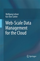 Wolfgan Lehner, Wolfgang Lehner, Kai-Uwe Sattler - Web-Scale Data Management for the Cloud