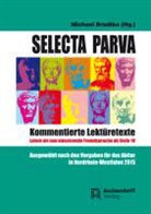 Michae Bradtke, Michael Bradtke - Selecta Parva - Kommentierte Lektüretexte