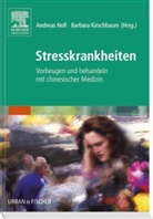 Barbara Kirschbaum, Andreas Noll - Stresskrankheiten