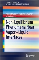 Alexe Kryukov, Alexei Kryukov, Vladimi Levashov, Vladimir Levashov, Yulia Puzina, Puzina Yulia - Non-Equilibrium Phenomena near Vapor-Liquid Interfaces