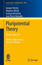 Zbigniew B¿ocki, Fran Berteloot, Franc Berteloot, Francois Berteloot, François Berteloot, Zbignie Blocki... - Pluripotential Theory