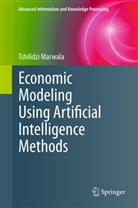Tshilidzi Marwala - Economic Modeling Using Artificial Intelligence Methods
