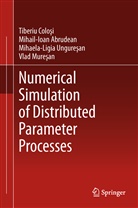 Mihail-Ioa Abrudean, Mihail-Ioan Abrudean, Tiberi Colosi, Tiberiu Colosi, Vlad Muresan, M Unguresan... - Numerical Simulation of Distributed Parameter Processes