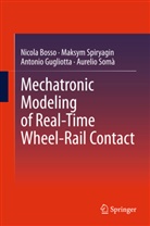 Nicol Bosso, Nicola Bosso, Antonio Gugliotta, Aurelio Somà, Maksy Spiryagin, Maksym Spiryagin - Mechatronic Modeling of Real-Time Wheel-Rail Contact
