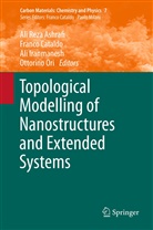 Ali Reza Ashrafi, Franc Cataldo, Franco Cataldo, Ali Iranmanesh, Ali Iranmanesh et al, Ottorino Ori - Topological Modelling of Nanostructures and Extended Systems