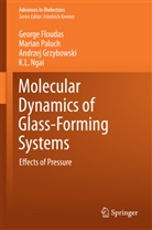 Georg Floudas, George Floudas, Andrzej Grzybowski, Kai Ngai, Maria Paluch, Marian Paluch - Molecular Dynamics of Glass-Forming Systems
