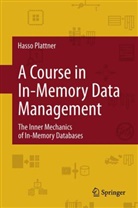 Hasso Plattner - A Course in In-Memory Data Management