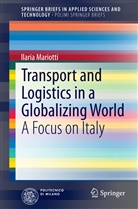 Ilaria Mariotti - Transport and Logistics in a Globalizing World