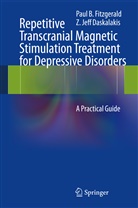 Z Jeff Daskalakis, Z. Jeff Daskalakis, Paul Fitzgerald, Paul B Fitzgerald, Paul B. Fitzgerald - Repetitive Transcranial Magnetic Stimulation Treatment for Depressive Disorders