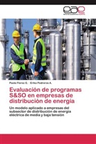Paol Florez G, Paola Florez G, Paola Florez G., Erika Pedreros A, Erika Pedreros A. - Evaluación de programas S&SO en empresas de distribución de energía