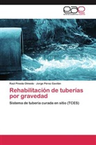 Jorge Pérez Gavilán, Raú Pineda Olmedo, Raúl Pineda Olmedo - Rehabilitación de tuberías por gravedad