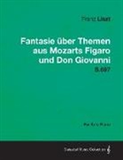 Franz Liszt - Fantasie Uber Themen Aus Mozarts Figaro Und Don Giovanni S.697 - For Solo Piano