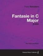 Franz Schubert - Fantasie in C Major D.934 - For Violin and Piano