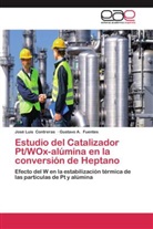 José Lui Contreras, José Luis Contreras, Gustavo A Fuentes, Gustavo A. Fuentes - Estudio del Catalizador Pt/WOx-alúmina en la conversión de Heptano