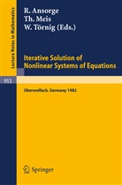 R. Ansorge, Rainer Ansorge, Meis, T Meis, T. Meis, Theodor Meis... - Iterative Solution of Nonlinear Systems of Equations