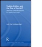 Arda Kumbaracibasi, Arda Can Kumbaracibasi - Turkish Politics and the Rise of the Akp
