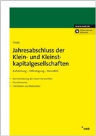 Carsten Theile - Jahresabschluss der Klein- und Kleinstkapitalgesellschaften