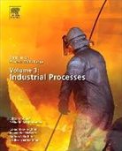 Seshadri Seetharaman - Treatise on Process Metallurgy