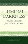Elliot Wolfson, Elliot R. Wolfson, Wolfson Elliot R. - Luminal Darkness