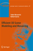Rafael Garcia, Tudo Nicosevici, Tudor Nicosevici - Efficient 3D Scene Modeling and Mosaicing