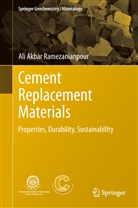 Ali Akbar Ramezanianpour - Cement Replacement Materials