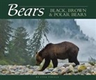 Stan Tekiela - Bears