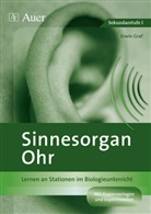 Erwin Graf - Sinnesorgan Ohr