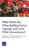 Colin Clarke, Colin P. Clarke, Beth Grill, Joe Hogler, Christine Leah, Jennifer D. P. Moroney... - What Works Best When Building Partner Capacity and Under What Circumstances?