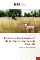 Christelle Kemgne Ouafo, Ouafo-c - Inventaire d amenagement de la