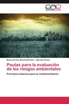 Gabriel Civeira, Gabriela Civeira, Maria del Pila Muschietti Piana, Maria del Pilar Muschietti Piana - Pautas para la evaluación de los riesgos ambientales
