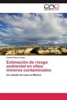 Carlos Chávez Toledo - Estimación de riesgo ambiental en sitios mineros contaminados
