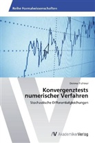Dietmar Fichtner - Konvergenztests numerischer Verfahren