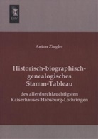 Anton Ziegler - Historisch-biographisch-genealogisches Stamm-Tableau des allerdurchlauchtigsten Kaiserhauses Habsburg-Lothringen
