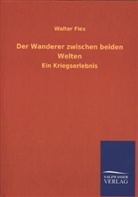 Walter Flex - Der Wanderer zwischen beiden Welten