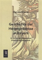 Sigmund Riezler, Sigmund von Riezler - Geschichte der Hexenprozesse in Bayern