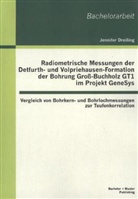 Jennifer Dreiling - Radiometrische Messungen der Detfurth- und Volpriehausen-Formation der Bohrung Groß-Buchholz GT1 im Projekt GeneSys
