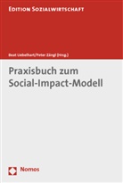 Bea Uebelhart, Beat Uebelhart, Zängl, Zängl, Peter Zängl - Praxisbuch zum Social-Impact-Modell