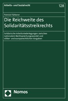 Patrick Fütterer - Die Reichweite des Solidaritätsstreikrechts