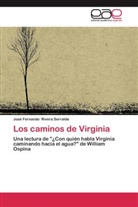 José Fernando Rivera Serralde - Los caminos de Virginia