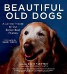 David Tabatsky &amp; Garry Gross, David Tabatsky, David (EDT)/ Gross Tabatsky, Garry Gross, David Tabatsky - Beautiful Old Dogs