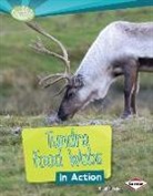 Paul Fleisher - Tundra Food Webs in Action